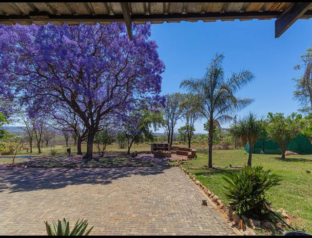 FARM FOR SALE IN DE WAGENSDRIFT AH